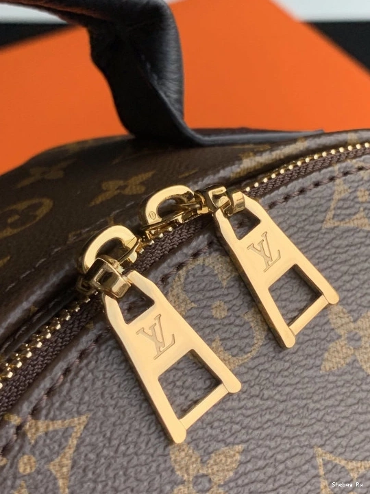SPRINGS EDITION PM LOUIS VUITTON NEW PALM 0825